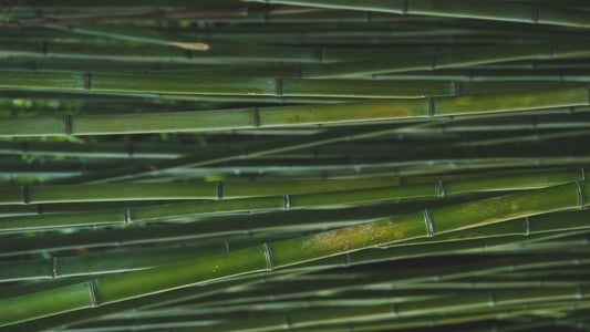 A pile of green bamboo stalks shot in horizontal orientation.